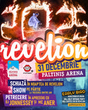 Revelion la PALTINIS ARENA